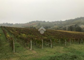 Terreno agricolo Valle San Giovanni, Calamandrana - foto 4