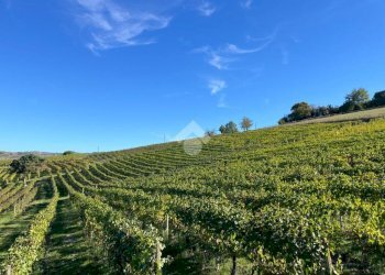 Terreno agricolo Frazione Valle San Giovanni, Calamandrana - foto 3