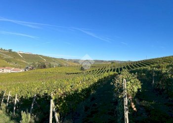 Terreno agricolo Frazione Valle San Giovanni, Calamandrana - foto 4