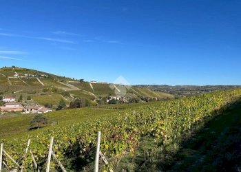 Terreno agricolo Frazione Valle San Giovanni, Calamandrana - foto 5
