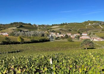 Terreno agricolo Frazione Valle San Giovanni, Calamandrana - foto 6