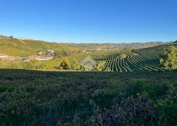 Terreno agricolo Frazione Valle San Giovanni, Calamandrana - foto 7