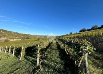 Terreno agricolo Frazione Valle San Giovanni, Calamandrana - foto 8