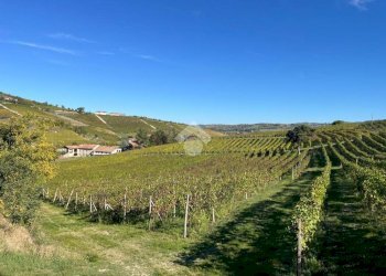 Terreno agricolo Frazione Valle San Giovanni, Calamandrana - foto 9