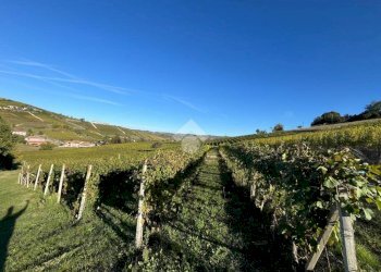 Terreno agricolo Frazione Valle San Giovanni, Calamandrana - foto 10