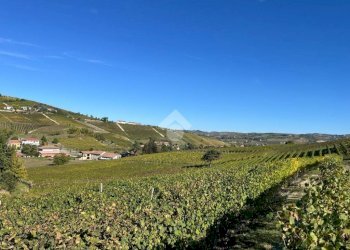 Terreno agricolo Frazione Valle San Giovanni, Calamandrana - foto 13