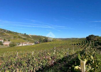 Terreno agricolo Frazione Valle San Giovanni, Calamandrana - foto 14