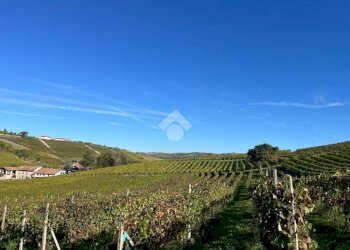 Terreno agricolo Frazione Valle San Giovanni, Calamandrana - foto 15