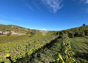 Terreno agricolo Frazione Valle San Giovanni, Calamandrana - foto 16