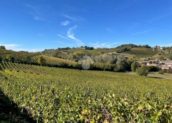 Terreno agricolo Frazione Valle San Giovanni, Calamandrana - foto 17
