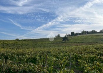 Terreno agricolo Frazione Valle San Giovanni, Calamandrana - foto 18