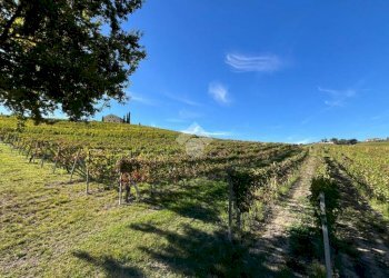 Terreno agricolo Frazione Valle San Giovanni, Calamandrana - foto 20