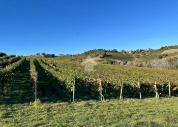 Terreno agricolo Frazione Valle San Giovanni, Calamandrana - foto 21