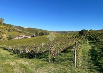 Terreno agricolo Frazione Valle San Giovanni, Calamandrana - foto 22
