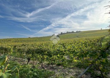 Terreno agricolo Frazione Valle San Giovanni, Calamandrana - foto 23
