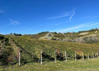 Terreno agricolo Frazione Valle San Giovanni, Calamandrana - foto 24