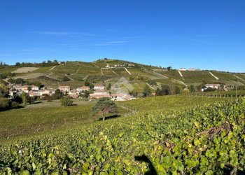 Terreno agricolo Frazione Valle San Giovanni, Calamandrana - foto 25
