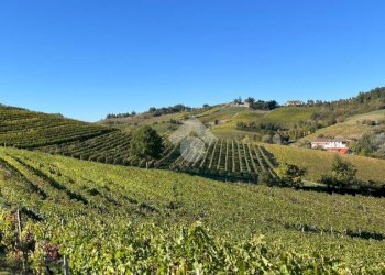 Terreno agricolo Frazione Valle San Giovanni, Calamandrana - foto 27