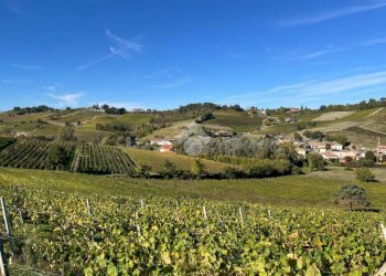 Terreno agricolo Frazione Valle San Giovanni, Calamandrana - foto 28