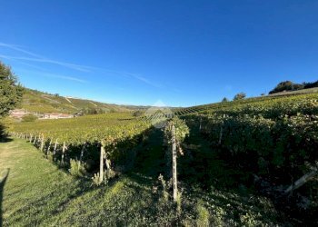 Terreno agricolo Frazione Valle San Giovanni, Calamandrana - foto 30