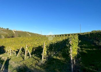 Terreno agricolo Frazione Valle San Giovanni, Calamandrana - foto 31