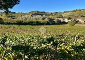 Terreno agricolo Frazione Valle San Giovanni, Calamandrana - foto 32
