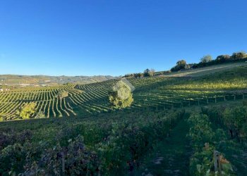 Terreno agricolo Frazione Valle San Giovanni, Calamandrana - foto 33
