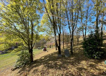 Villa Frazione Valle San Giovanni, Calamandrana - foto 19