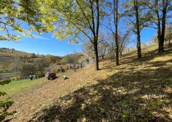 Villa Frazione Valle San Giovanni, Calamandrana - foto 20