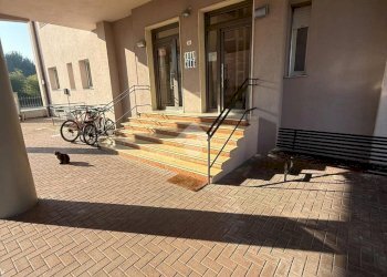 Trilocale Via Martiri della Libertà, Incisa Scapaccino - foto 17