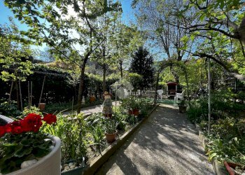 Three-room apartment Via Tommaso Gulli, Parma (neighborhood Oltretorrente) - photo 27