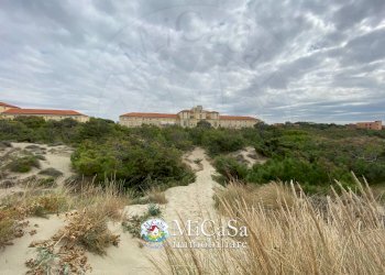 Foto 21 - Appartamento Viale Del Tirreno
 
76, Pisa - foto 21