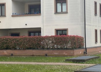 Foto 7 - Appartamento Ugo Foscolo, Gorla Minore - foto 7