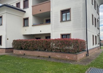 Foto 19 - Appartamento Ugo Foscolo, Gorla Minore - foto 19