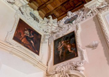 Dettagli - Villa Piacenza - foto 12