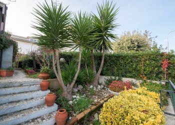 Giardino - Casa semi indipendente via dei pini
 
14, Montemarciano - foto 80