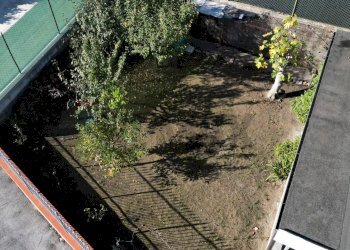 Giardino - Casa indipendente Via 25 Aprile
 
13, Montecarotto - foto 34