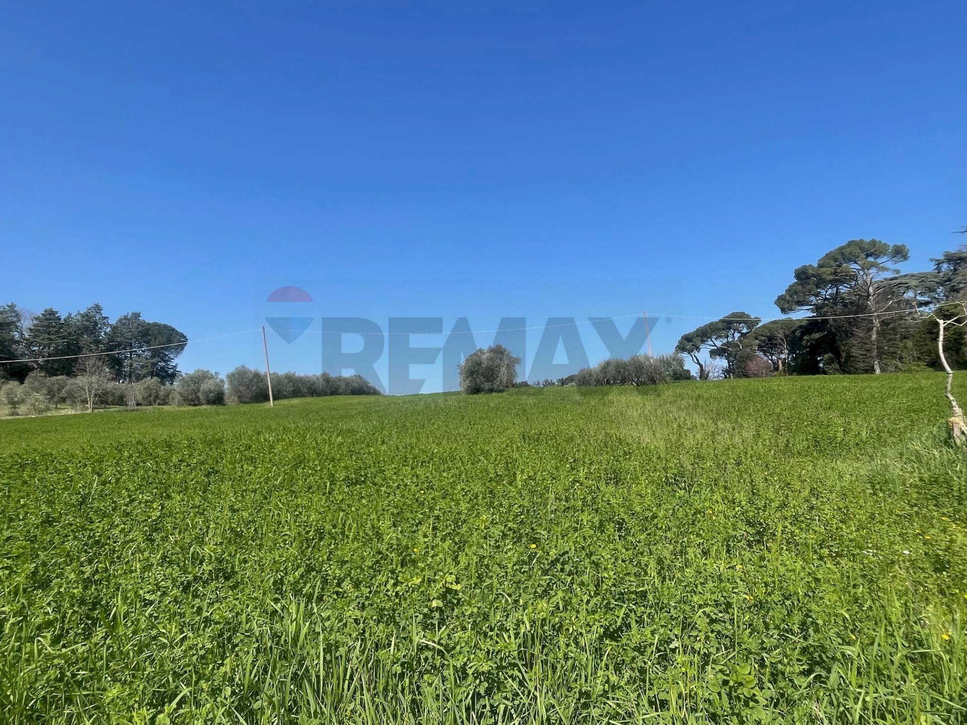 Giardino - Agricultural land via Ancona
 
98, Jesi - photo 2