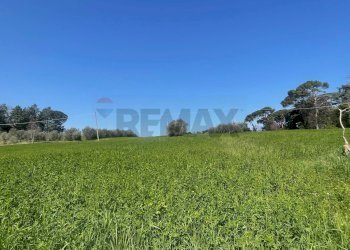 Giardino - Agricultural land via Ancona
 
98, Jesi - photo 2