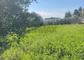 Giardino - Agricultural land via Ancona
 
98, Jesi - photo 5