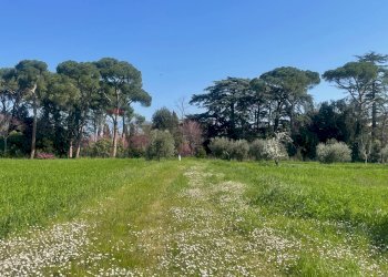 Giardino - Agricultural land via Ancona
 
98, Jesi - photo 9
