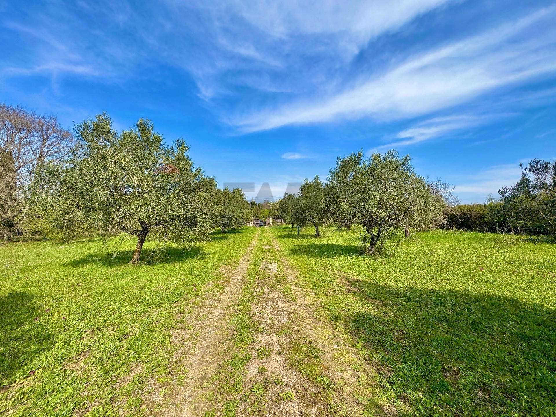 Giardino - Villa Via del pontone lungo
 
35, Manziana - photo 2