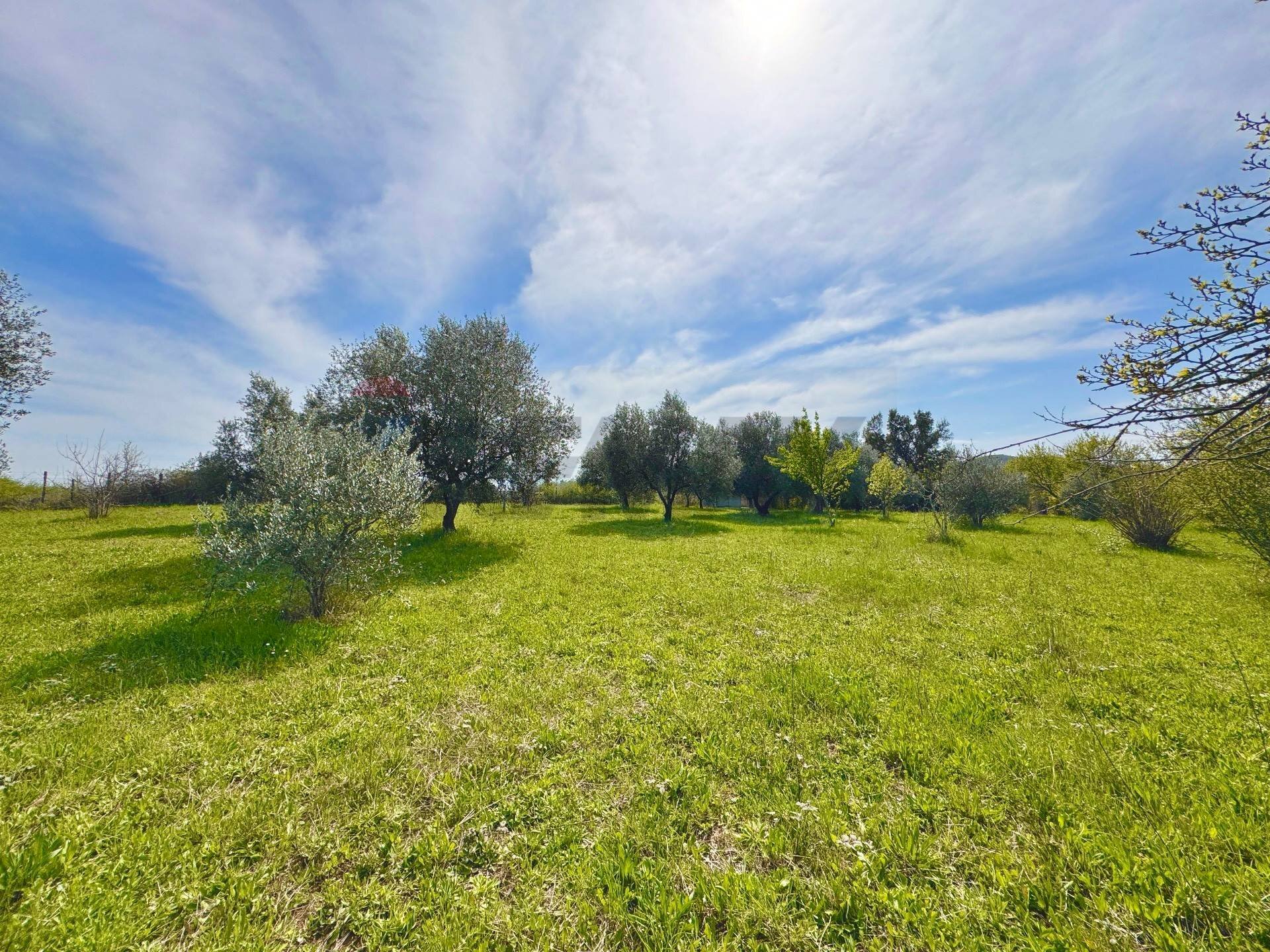 Giardino - Villa Via del pontone lungo
 
35, Manziana - photo 3