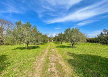 Giardino - Villa Via del pontone lungo
 
35, Manziana - photo 2