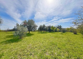 Giardino - Villa Via del pontone lungo
 
35, Manziana - photo 3