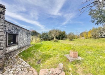 Giardino - Villa Via del pontone lungo
 
35, Manziana - photo 5