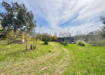 Giardino - Villa Via del pontone lungo
 
35, Manziana - photo 7