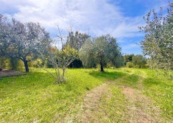 Giardino - Villa Via del pontone lungo
 
35, Manziana - photo 21
