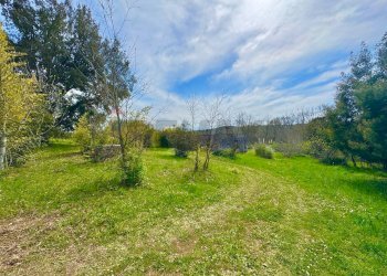 Giardino - Villa Via del pontone lungo
 
35, Manziana - photo 22