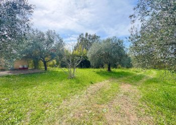 Giardino - Villa Via del pontone lungo
 
35, Manziana - photo 23